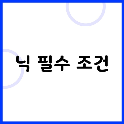 닉 필수 조건
