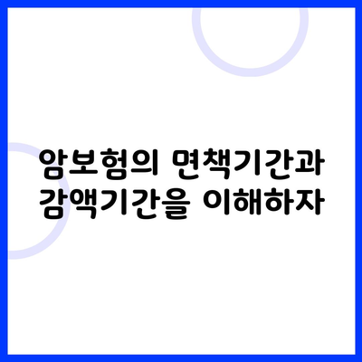 암보험의 면책기간과 감액기간을 이해하자