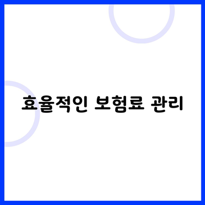 효율적인 보험료 관리