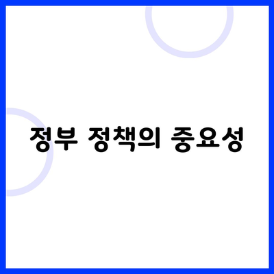 정부 정책의 중요성