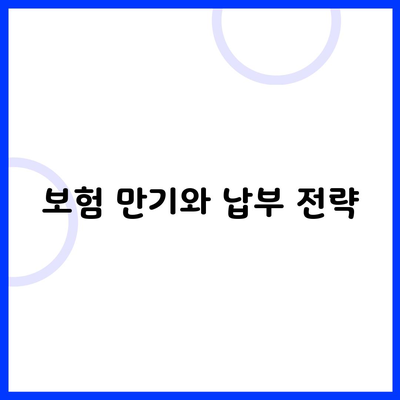 보험 만기와 납부 전략