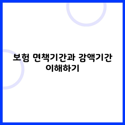 보험 면책기간과 감액기간 이해하기