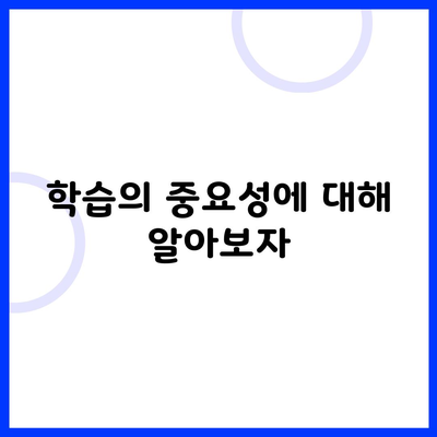 학습의 중요성에 대해 알아보자