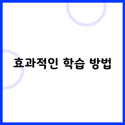 효과적인 학습 방법