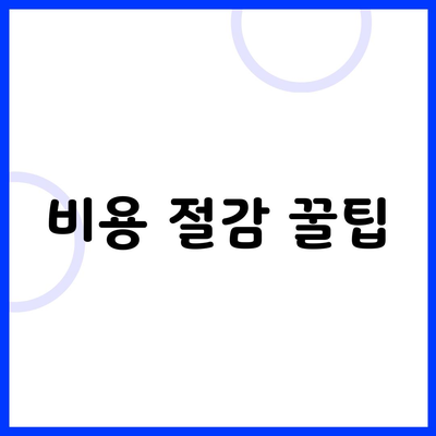 비용 절감 꿀팁