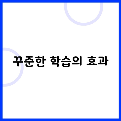 꾸준한 학습의 효과