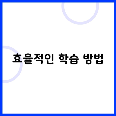 효율적인 학습 방법