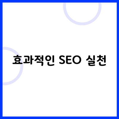 효과적인 SEO 실천